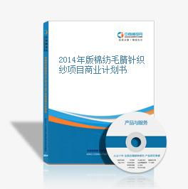 2014年版棉紡毛腈針織紗項目商業計劃書