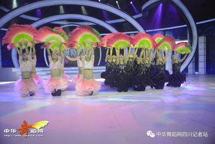 舞韻綻芳華，星光啟航藝術培訓學校攜《陌上花開》亮相四川廣播電視臺超級新秀場